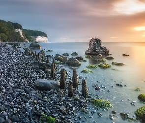 Kamienie, Wybrzeże, Morze Bałtyckie, Niemcy, Park Narodowy Jasmund, Glony, Rugia, Klify