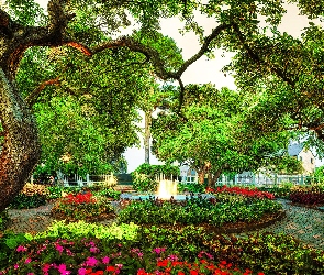 Park, Stan New Hampshire, Fontanna, Stany Zjednoczone, Portsmouth, Drzewa, Prescott Park, Wiosna, Kwiaty