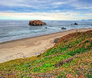 Stan Oregon, Roślinność, Plaża, Stany Zjednoczone, Skała, Morze, Bandon Beach