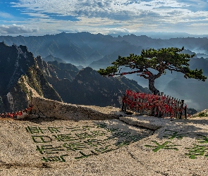 Chiny, Drzewa, Znaki, Skały, Sosna, Mount Hua, Prowincja Shaanxi, Huayin, Góry