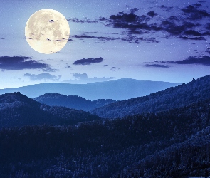 Noc, Las, Chmury, Góry, Księżyc