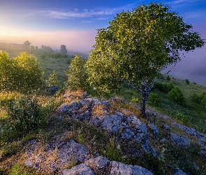 Wschód słońca, Kraj Permski, Mgła, Rosja, Gubacha, Roślinność, Skały, Drzewa, Brzoza