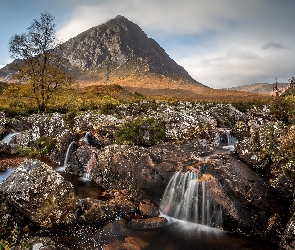 Buachaille Etive Mor, River Coupall, Góra, Rzeka, Region Highland, Skały, Szkocja, Drzewa