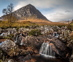 Rzeka, Buachaille Etive Mor, Góra, Szkocja, Drzewa, River Coupall, Region Highland, Skały