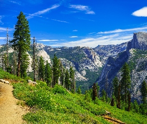 Kalifornia, Drzewa, Sierra Nevada, Stany Zjednoczone, Ścieżka, Góry, Park Narodowy Yosemite