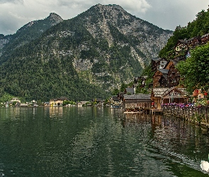 Góry, Miasteczko, Austria, Łabędź, Jezioro Hallstattersee, Alpy Salzburskie, Domy, Hallstatt
