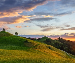 Szwajcaria, Kanton Zug, Drzewa, Wzgórza, Chmury, Menzingen