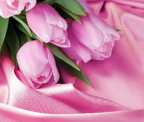 Różowe, Materiał, Tulipany