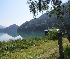 Przystań, Brzoza, Jezioro Hintersteinersee, Góry, Austria, Las, Trawa, Tyrol, Drzewa