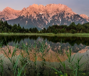 Trawy, Drzewa, Góry, Jezioro