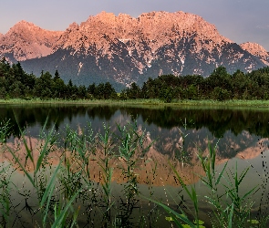 Góry, Trawy, Drzewa, Jezioro