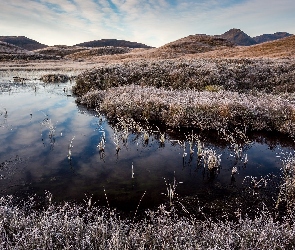 Trawa, Oszroniona, Jezioro, Góry