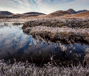 Jezioro, Trawa, Oszroniona, Góry