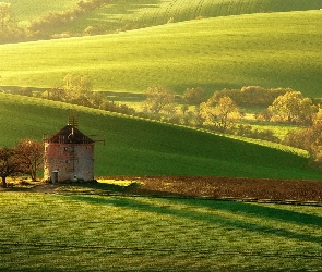 Kraj południowomorawski, Gmina Kunkovice, Wzgórza, Czechy, Drzewa, Pola uprawne, Wiatrak