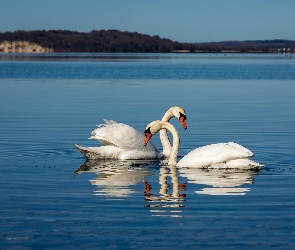 Łabędzie, Jezioro, Dwa