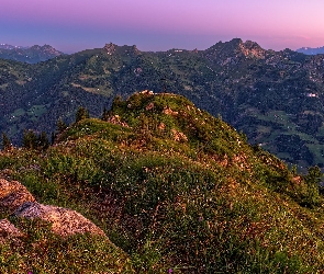 Rośliny, Krzyż, Poranek, Wschód słońca, Góry, Skały