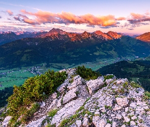 Tannheimer Valley, Alpy Algawskie, Góry, Austria, Rośliny, Skała, Tannheim, Dolina
