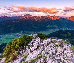Alpy Algawskie, Skała, Góry, Tannheimer Valley, Tannheim, Dolina, Austria, Rośliny