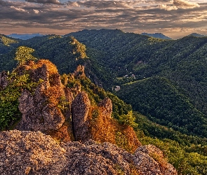 Karpaty Zachodnie, Słowacja, Drzewa, Skały, Góry Strażowskie