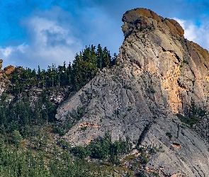 Zielone, Drzewa, Skały