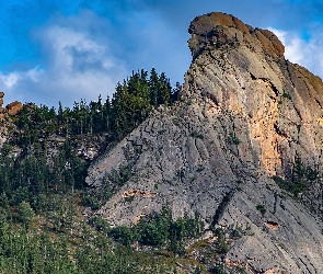 Skały, Drzewa, Zielone