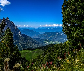 Włochy, Południowy Tyrol, Dolina, Góry, Drzewa, Kwiaty
