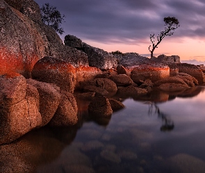 Binalong Bay, Skały, Tasmania, Australia, Chmury, Drzewo, Głazy, Wschód słońca, Morze