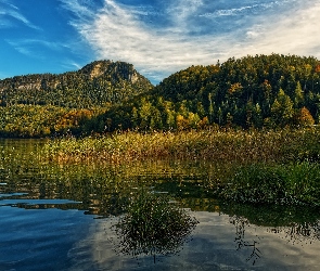 Góry, Jezioro, Trawy, Szuwary, Kępki, Drzewa