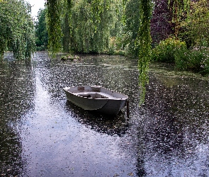 Ogród, Staw, Łódka, Anglia, 
Gooderstone, Gooderstone Water Gardens, Norfolk, Wierzby płaczące