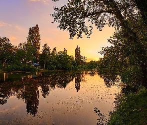 Staw, Zachód słońca, Austria, Floridsdorfer Wasserpark, Drzewa, Wiedeń, Park