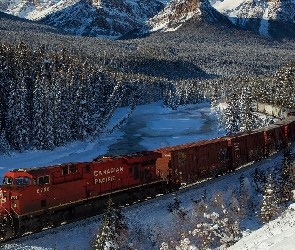 Park Narodowy Banff, Pociąg, Góry Skaliste, Rzeka, Chmury, Kanada, Zima, Alberta, Bow River, Las, Drzewa