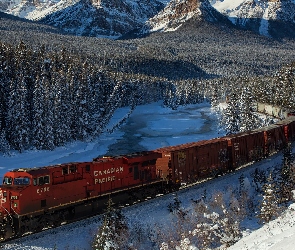 Park Narodowy Banff, Bow River, Kanada, Zima, Las, Góry Skaliste, Rzeka, Alberta, Pociąg, Chmury, Drzewa