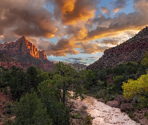 Stan Utah, Góra Watchman, Stany Zjednoczone, Góry, Virgin River, Park Narodowy Zion, Drzewa, Rzeka