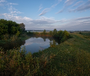 Rzeka, Rośliny, Trawa, Drzewa