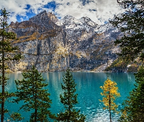 Jezioro, Drzewa, Skaliste, Góry