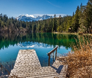 Pomost, Trzcina, Cresta Lake, Jezioro, Szwajcaria, Alpy, Góry, Kanton Gryzonia, Drzewa