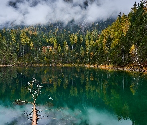 Jezioro Blindsee, Austria, Mgła, Las, Drzewa