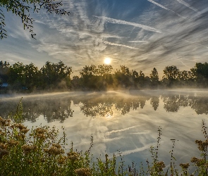 Dom, Rośliny, Jezioro, Wschód słońca, Mgła, Drzewa