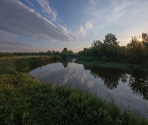 Drzewa, Odbicie, Chmury, Trawa, Rzeka