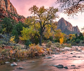 Drzewa, Virgin River, Park Narodowy Zion, Rzeka, Stan Utah, Góry Watchman, Stany Zjednoczone, Kamienie