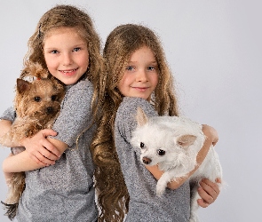 Chihuahua Dziecko, Yorkshire terrier, Uśmiechnięte, Dwie, Dziewczynki, Psy