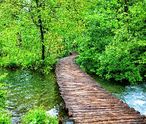 Park Narodowy Jezior Plitwickich, Las, Chorwacja, Pomost, Rzeka, Drzewa