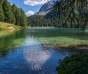 Jezioro, Las, Drzewa, Zielone, Góry