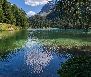 Jezioro, Las, Drzewa, Zielone, Góry