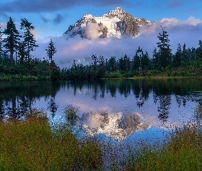 Drzewa, Picture Lake, Mount Baker, Góry, Stany Zjednoczone, Odbicie, Mgła, Stan Waszyngton, Jezioro