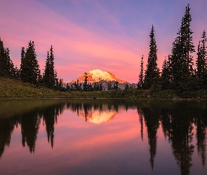 Tipsoo Lake, Drzewa, Jezioro, Stratowulkan Mount Rainier, Stan Waszyngton, Park Narodowy Mount Rainier, Stany Zjednoczone, Wschód słońca