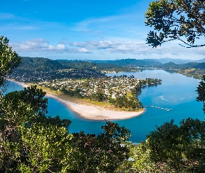 Drzewa, Rzeka, Nowa Zelandia, Pauanui, Region Waikato, Tairua River