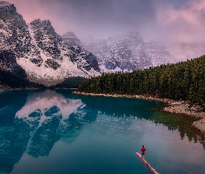 Drzewa, Konar, Park Narodowy Banff, Góry, Człowiek, Kanada, Jezioro, Alberta, Canadian Rockies, Moraine lake, Dolina Dziesięciu Szczytów