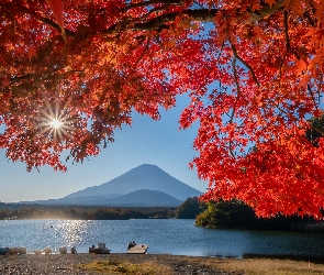 Liście, Góra Fudżi, Jezioro, Japonia, Promienie słońca, Jesień, Wyspa Honsiu, Stratowulkan