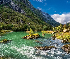 Kamienie, Rzeka, Norwegia, Skały, Drzewa, Park Narodowy Folgefonna, Góry